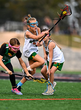 Shamrocks03961