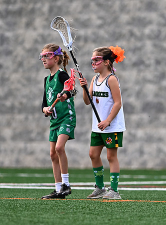 Shamrocks03964