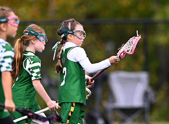 Shamrocks03967