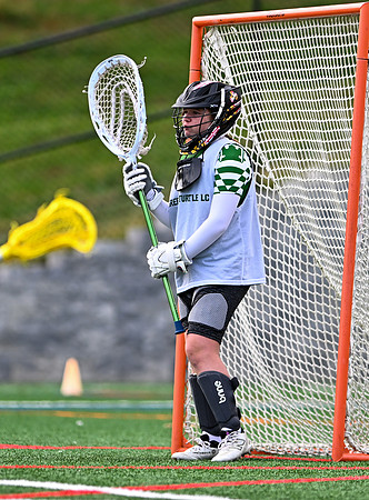 Shamrocks03965