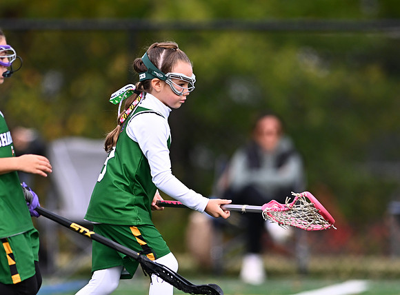 Shamrocks03968