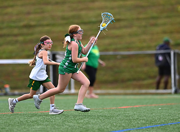 Shamrocks03966