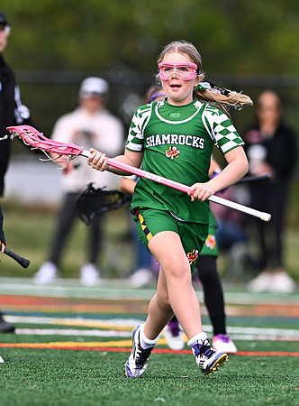 Shamrocks03972