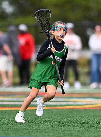 Shamrocks03973