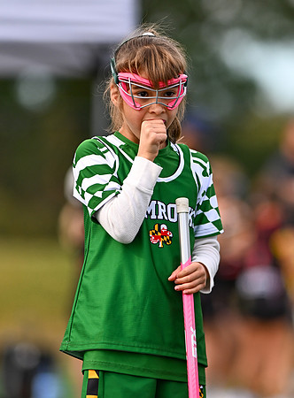 Shamrocks03976