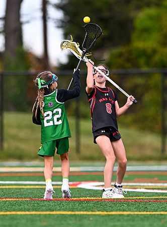 Shamrocks03977