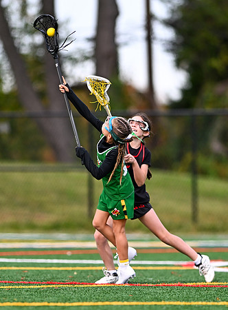 Shamrocks03978