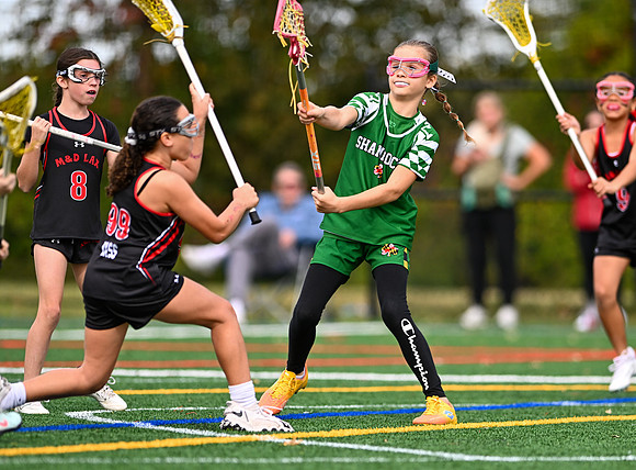 Shamrocks03974