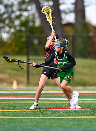 Shamrocks03979
