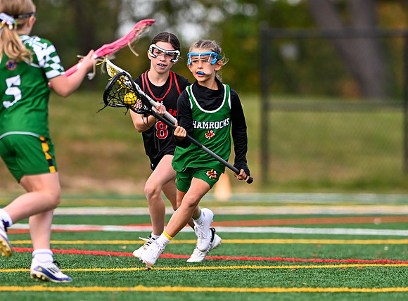Shamrocks03980