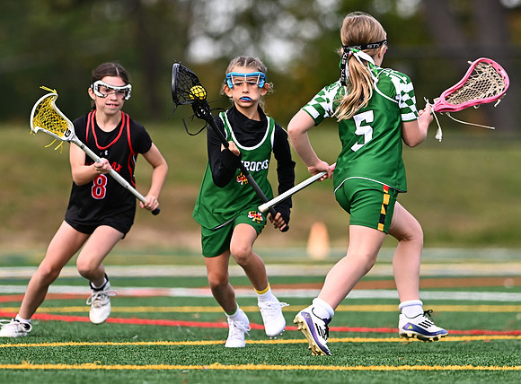Shamrocks03981