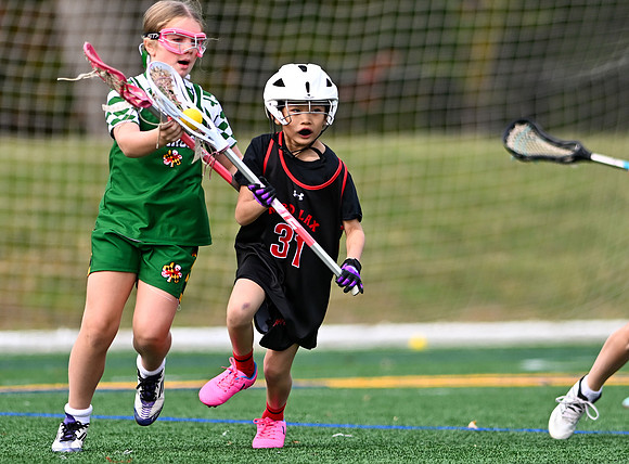 Shamrocks03985