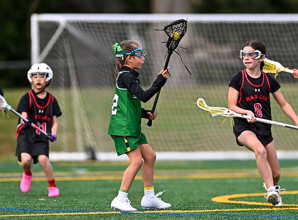 Shamrocks03984