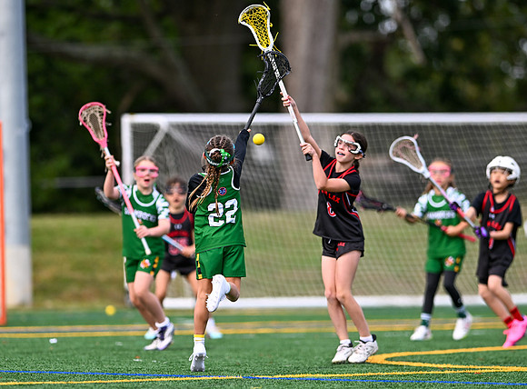 Shamrocks03983