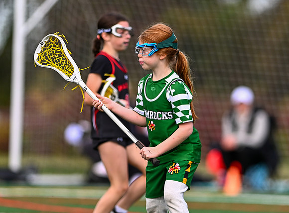 Shamrocks03987