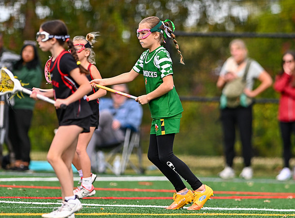 Shamrocks03988