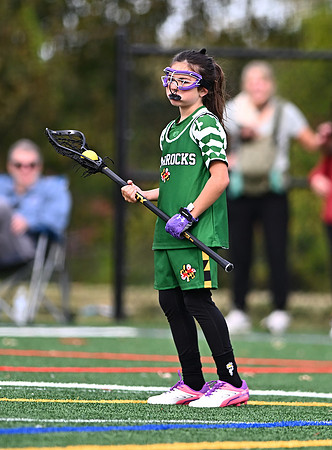 Shamrocks03992