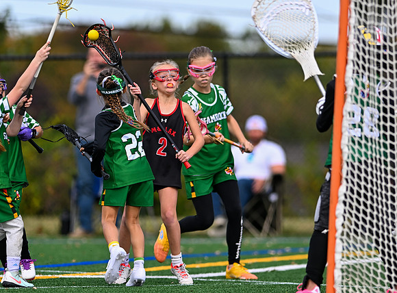 Shamrocks03989