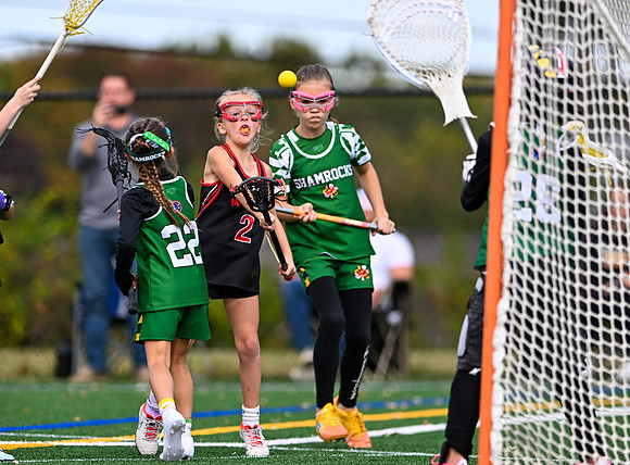Shamrocks03990