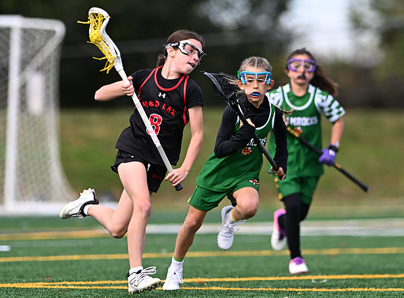 Shamrocks03996