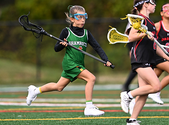 Shamrocks03997