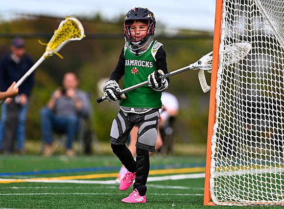 Shamrocks03995