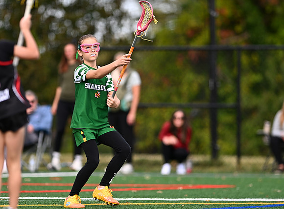 Shamrocks03999