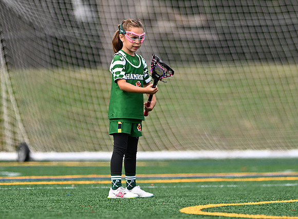 Shamrocks04001
