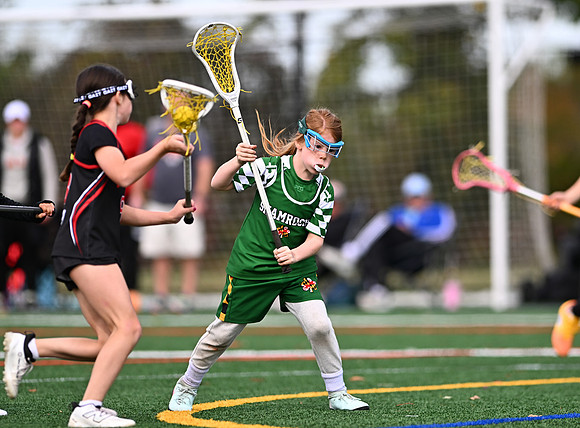 Shamrocks03998