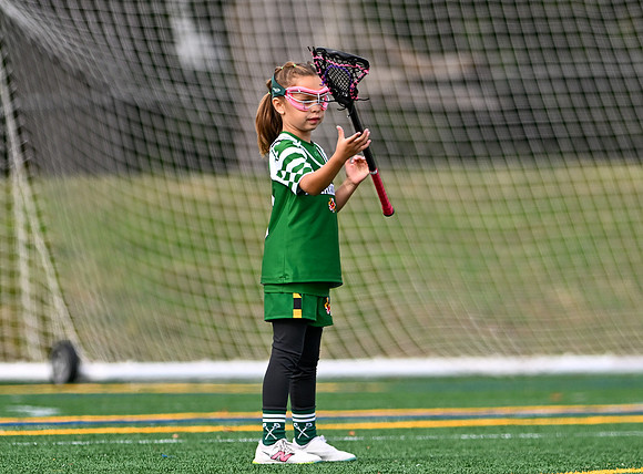 Shamrocks04002