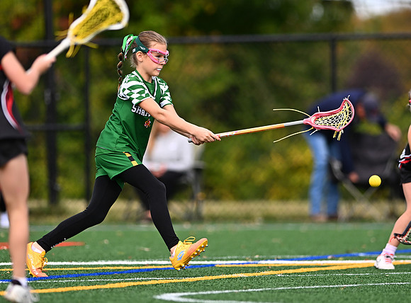 Shamrocks04000