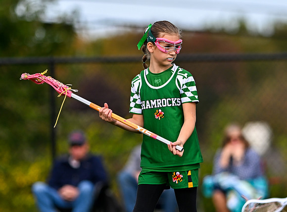 Shamrocks04003