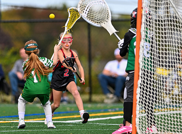 Shamrocks04004