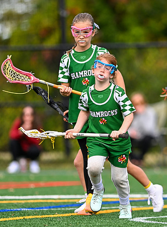 Shamrocks04006
