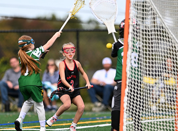Shamrocks04005