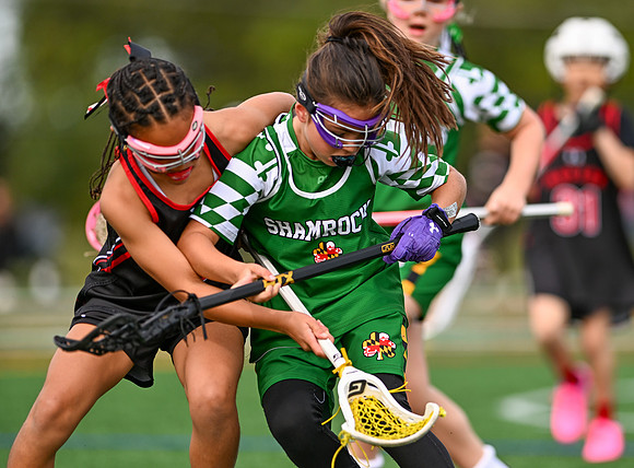 Shamrocks04008
