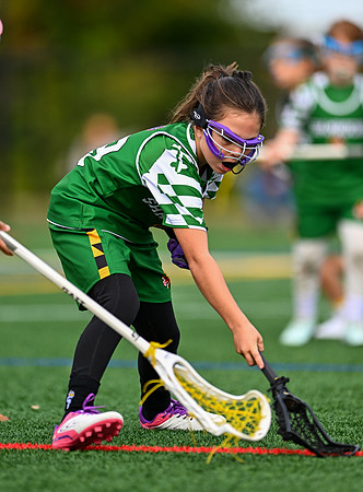 Shamrocks04009