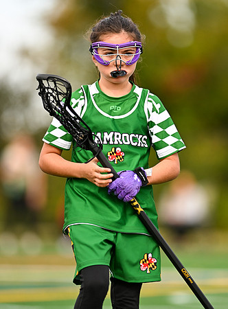 Shamrocks04010