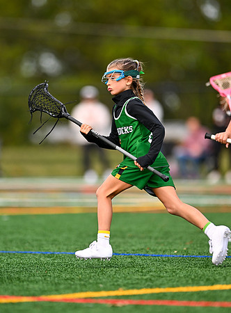 Shamrocks04012