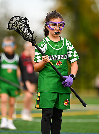 Shamrocks04011