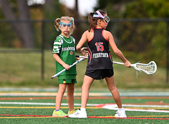 Shamrocks04015