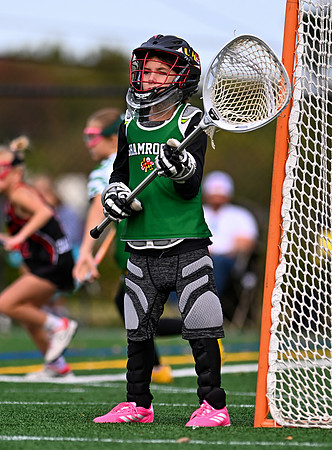 Shamrocks04013