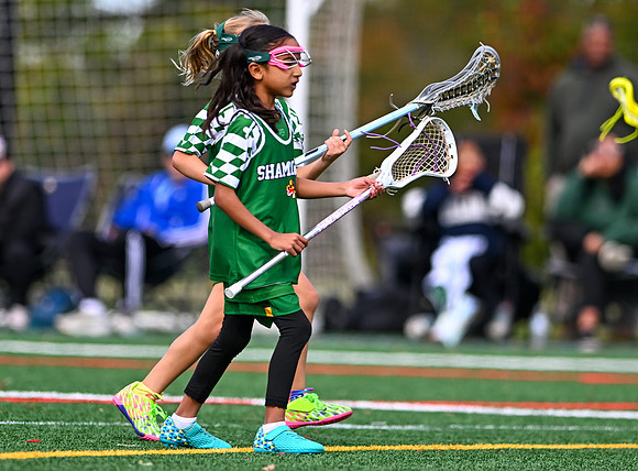 Shamrocks04017