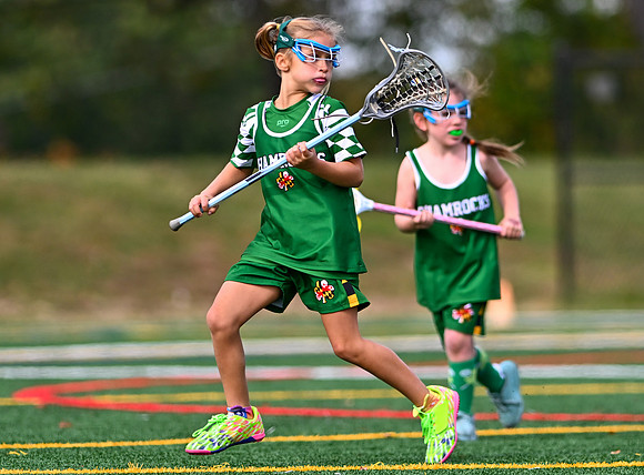 Shamrocks04020