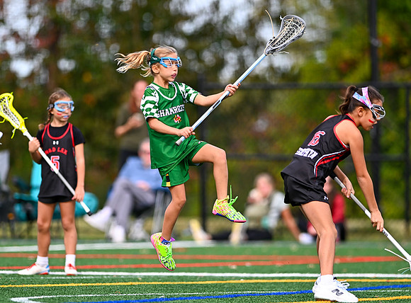 Shamrocks04018