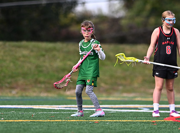 Shamrocks04021