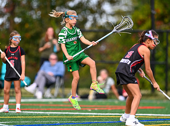 Shamrocks04019