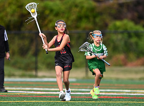 Shamrocks04023