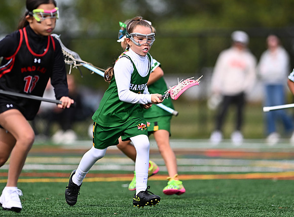 Shamrocks04024