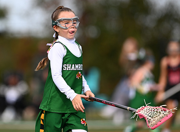 Shamrocks04026